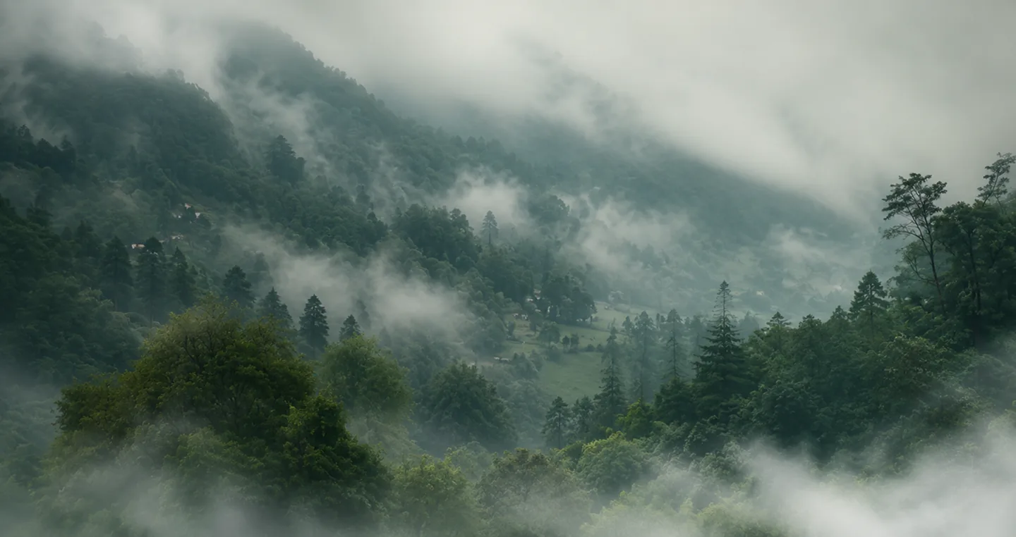 Misty forested mountains of the Kashmir valley